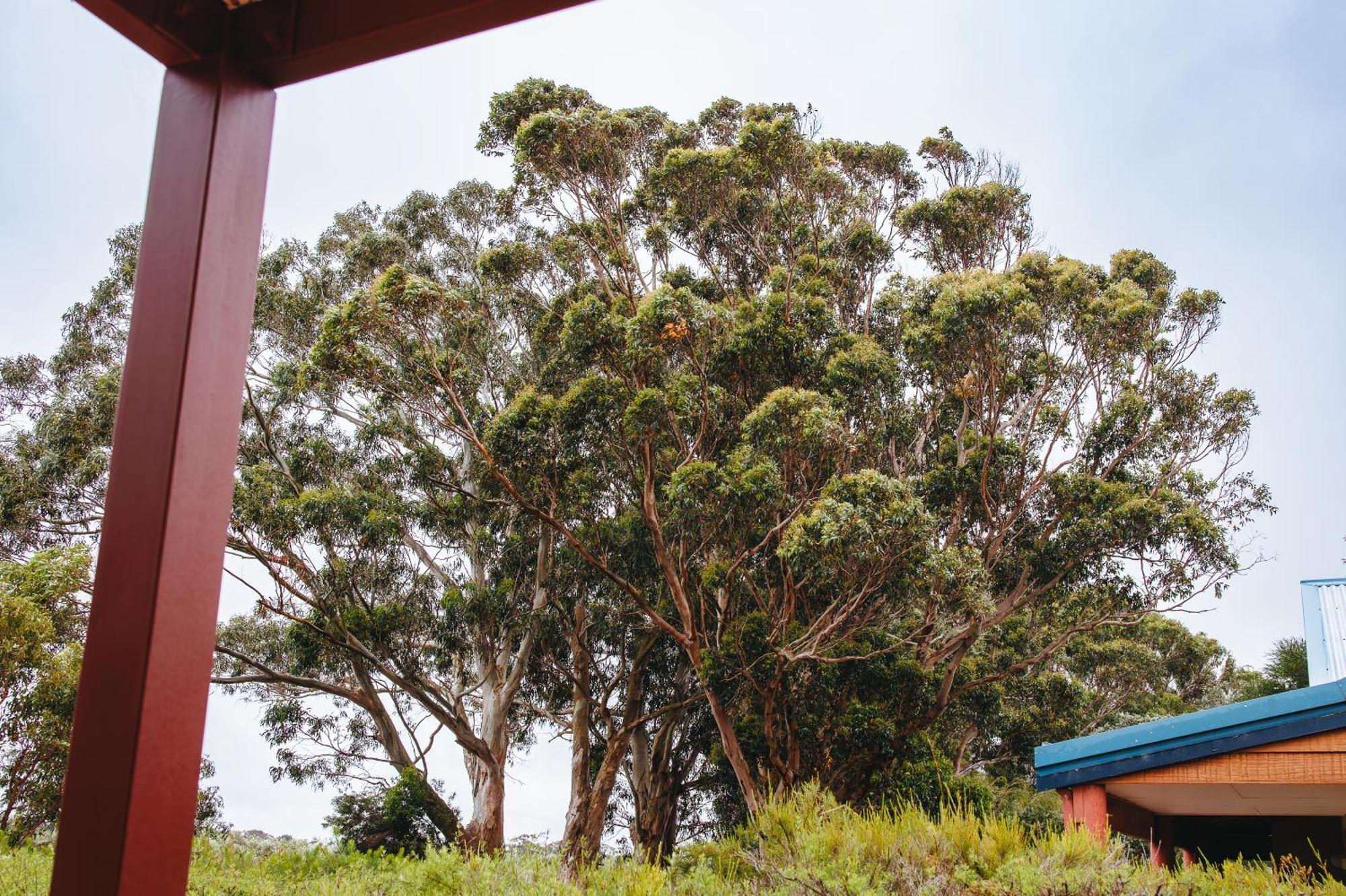 Cosy Corner By The Bnb Collection Albany Bagian luar foto